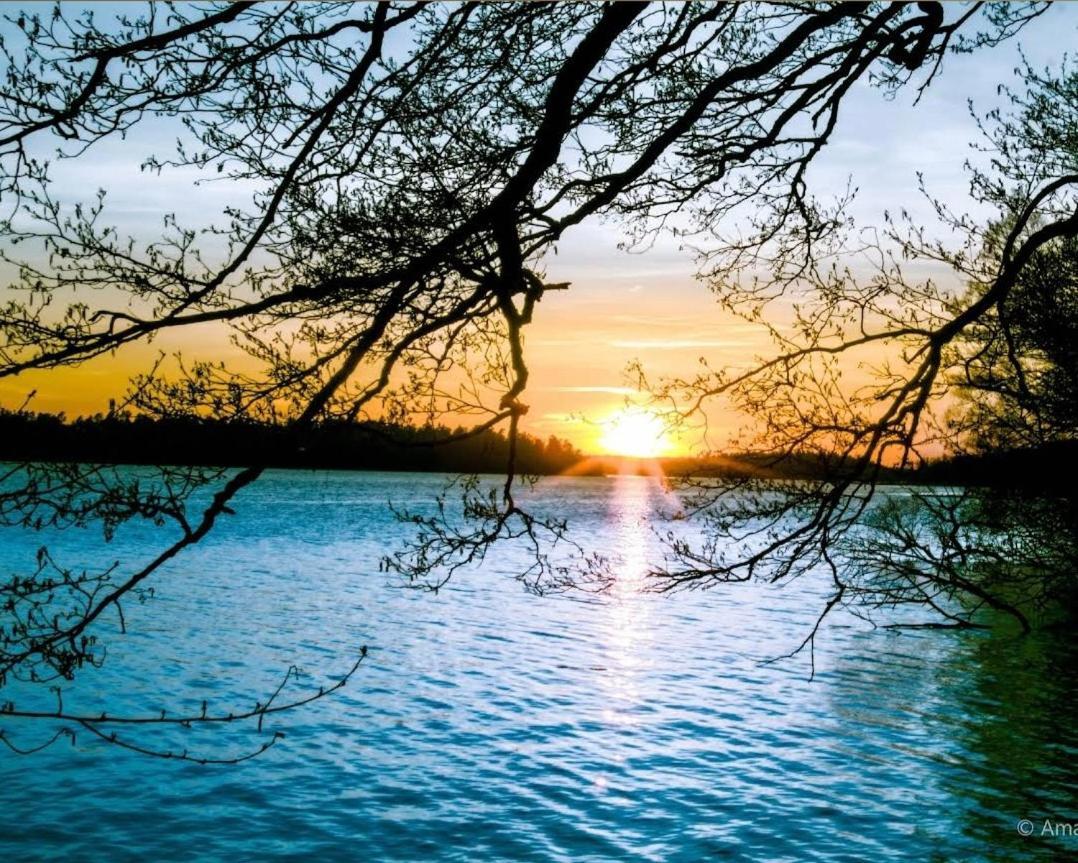 Close To The Metro And The Beach!!! With A View Of The Scandinavian Forest Stockholm Exteriér fotografie