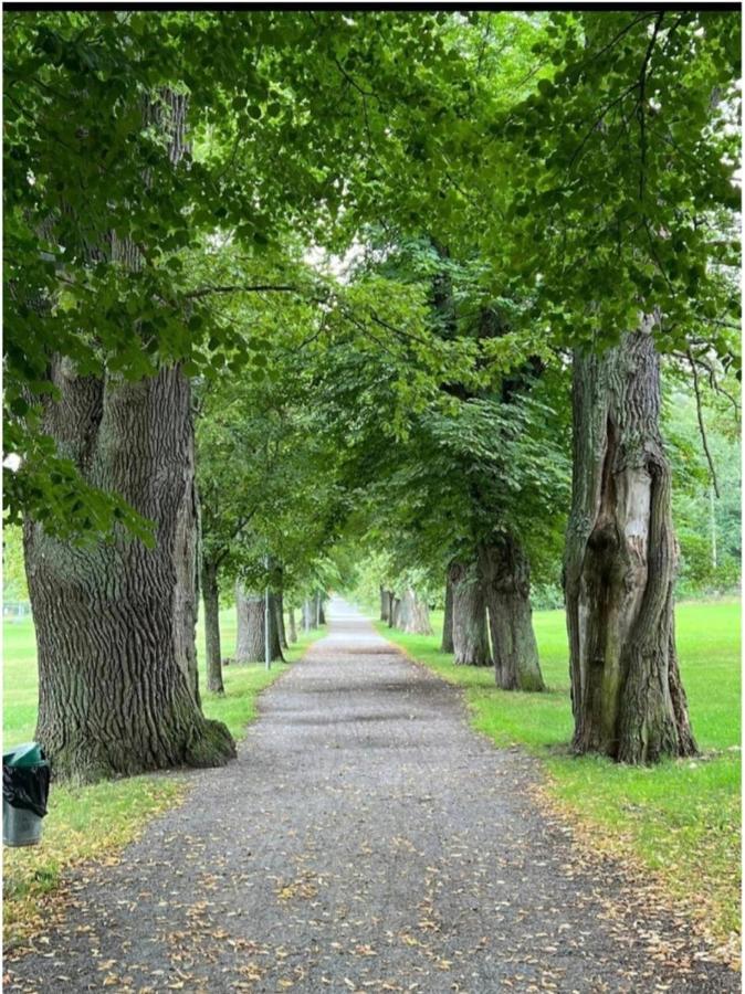 Close To The Metro And The Beach!!! With A View Of The Scandinavian Forest Stockholm Exteriér fotografie